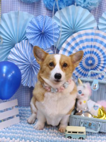 20231121リンちゃん